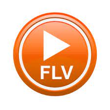 flv-media-player